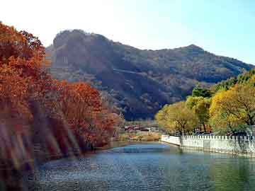 新澳天天开奖资料大全旅游团，野生菌礼品